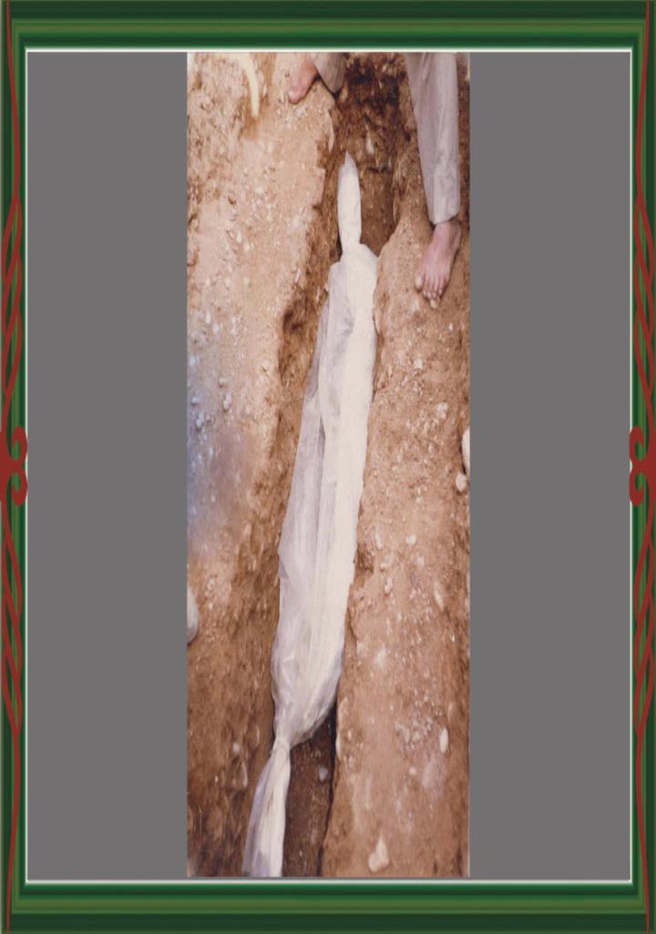 فاقد تصویر